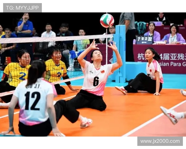 权威发布：2023年排球运动员个人能力实力排行榜全面揭晓