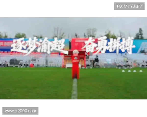 杭州排球队的拼搏之路精英赛背后的奋斗与荣耀