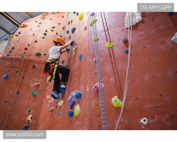 武汉攀岩队的技术揭秘与训练分享让我们一起探索攀岩的魅力与挑战