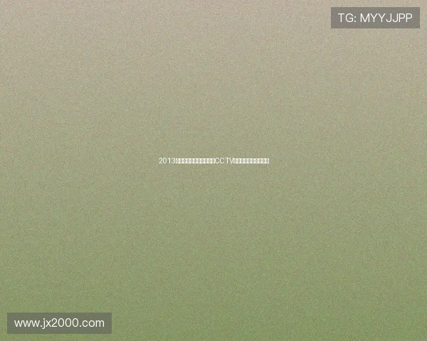 2013年湖人对战猛龙精彩回顾CCTV直播全程重温经典瞬间