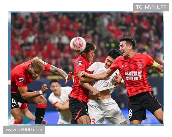 2010年申花与哄队激战回顾：一场难忘的足球盛宴与激情对决