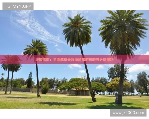 科学飞盘训练技巧与方法提升运动实力的全面指南