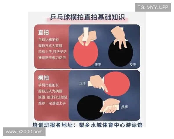杨芳独家分享乒乓球技巧与心得体会助你提升球技的秘密之道
